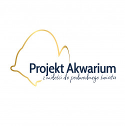 Projekt Akwarium