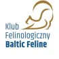 Baltic Feline