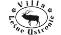 Villa Leśne Ustronie logo