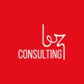 BZ Consulting logo