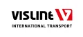 Visline logo