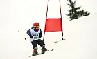 Coraz więcej zawodów narciarskich