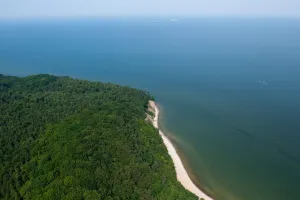 Będzie porządek na terenie Kępy Redłowskiej