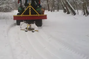 Wiosną na biegówki w Parku Kolibki