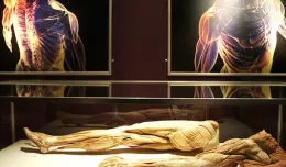 Kontrowersyjna wystawa: lekcja anatomii czy łamanie prawa?
