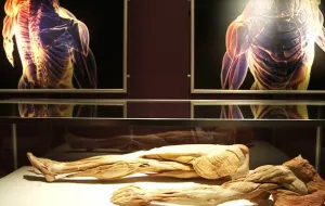 Kontrowersyjna wystawa: lekcja anatomii czy łamanie prawa?