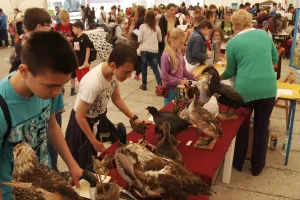 Bałtycki Festiwal Nauki kusi atrakcjami