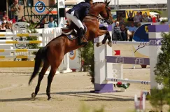 Polskie podium podczas CSIO