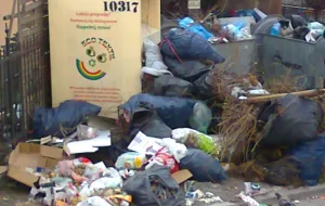 Kto odpowiada za zamieszanie ze śmieciami? Urzędnicy się tłumaczą