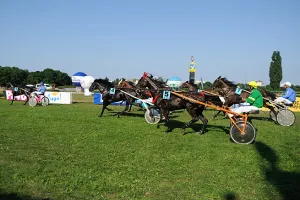 Ostatnia odsłona wyścigów konnych 2013