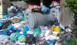 Przez spór o altanę, śmieci lądują w Strzyży