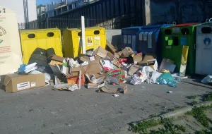 Miesiąc reformy śmieciowej w Trójmieście: Najpierw był chaos, będzie lepiej?