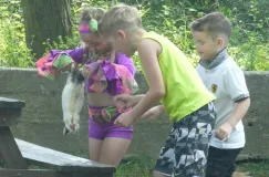 Dzieci zagranicznych turystów zamęczyły zwierzątko?