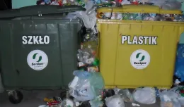 Jak się nie pogubić w segregacji śmieci? Elektronicznie