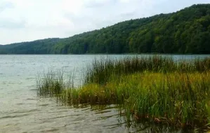 Wycieczka nad Jezioro Przywidzkie