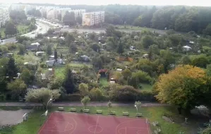 Park zamiast działek na Witominie