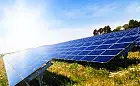Energa wybuduje pierwszą w Gdańsku elektrownię słoneczną