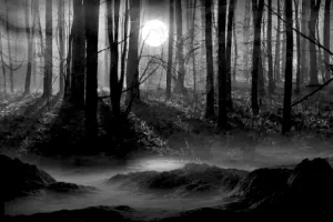 Trasa piesza, rowerowa oraz geocaching na nocnym RnO pt. "Sukkub"
