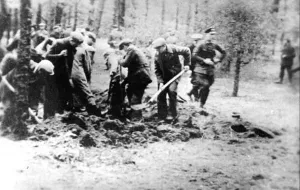 Zdjęcia z ekshumacji w Piaśnicy odnalezione