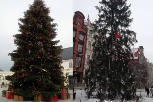 Gdańska choinka nie wszystkim się podoba