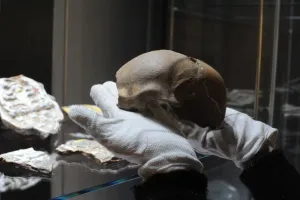 Tajemnice latryny i dawnych więźniów w Gdańsku. Nowa wystawa w Muzeum Bursztynu