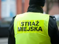 Prokuratura bada łamanie prawa w Straży Miejskiej w Gdańsku