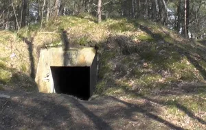 Pasjonaci historii odnawiają bunkry na Stogach
