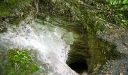 Nieznana atrakcja Gdyni - Jaskinia Goryla