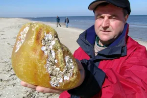 Z kaszorkiem na plażę. Jak zostać poławiaczem bursztynu?