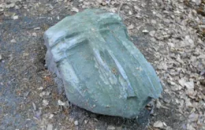 Kamienna Twarz w Lasach Oliwskich