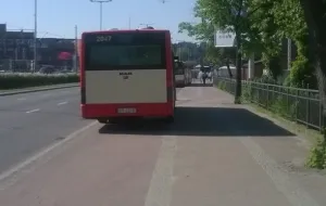 Autobusy parkują na drodze rowerowej