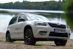 Bardzo cywilizowany Yeti