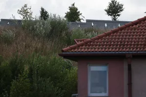 Mieszkanie z widokiem na cmentarz. Tańsze?