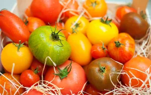 Podbiły podniebienia trójmiejskich smakoszy - pomidory premium