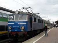 Pluskwy w pociągu TLK z Bielska-Białej
