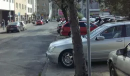 Zakres strefy parkowania w Gdyni mało czytelny?