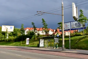 Gdynia: drzewa nielegalne, reklamy też?