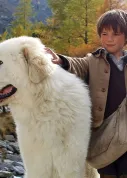 Bella i Sebastian. Jak pies z człowiekiem