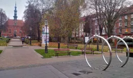 Gdańsk oświetli jedno drzewo. Koszt: kilkadziesiąt tysięcy
