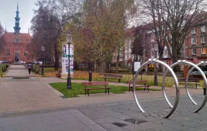 Gdańsk oświetli jedno drzewo. Koszt: kilkadziesiąt tysięcy