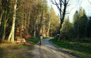 Kolejny krok w stronę drogi rowerowej przez las z Oliwy do Osowy