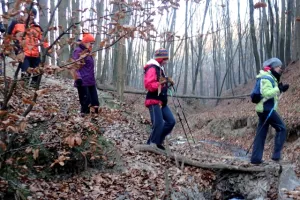Trening Nordic Walking nawet w niepogodę