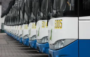 Kolejnych 15 nowych autobusów od wtorku w Gdyni