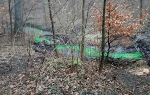 Niepokojąca substancja w Potoku Oliwskim