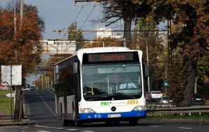 Ile kosztują nasze tramwaje, autobusy i trolejbusy?