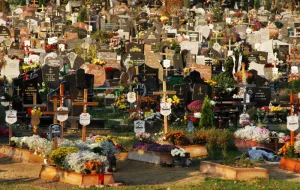 Komunikacja na cmentarzu. Jak się poruszać po rosnących nekropoliach
