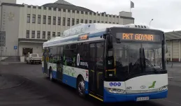 Gdynia oszczędza, ale trolejbusy bez szelek niezagrożone