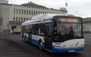 Gdynia oszczędza, ale trolejbusy bez szelek niezagrożone