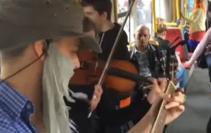 Zwierzęta w tramwaju zaskoczyły pasażerów