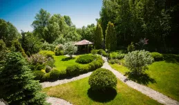 Ogrody Deluxe: tajemniczy ogród przy lesie